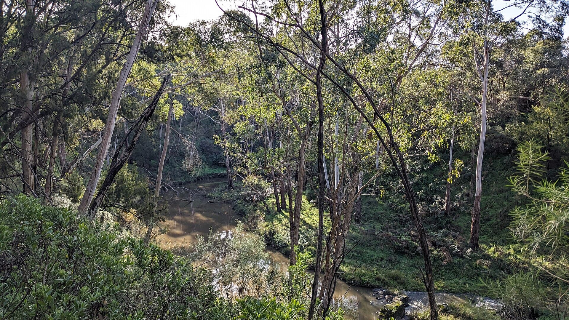 Trees along the Plenty River in afternoon sunlight in South Morang